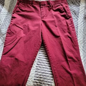 Express dress pants. 32x30 brick red